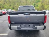 New 2025 Toyota Tundra 1794 Edition image 4