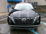Used 2024 Hyundai Tucson SEL w/ Convenience Package image 3