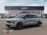 New 2025 Kia Carnival SX Prestige image 3