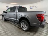 New 2025 Ford F150 Platinum image 4