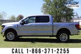 New 2025 Ford F150 XLT w/ Equipment Group 303A High image 5