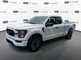 Certified 2023 Ford F150 XL w/ STX Appearance Package image 2