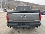 New 2025 Ford F150 STX w/ Equipment Group 201A FX4 image 6