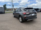 Used 2022 Ford Escape SE w/ Convenience Package image 4