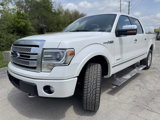 Used 2014 Ford F150 Platinum image 6