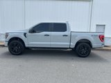 Used 2023 Ford F150 XL w/ STX Black Appearance Package image 5