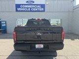 Used 2025 Ford F150 Platinum image 5