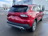 Used 2022 Ford Escape SEL image 4