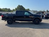 New 2025 Ford F150 STX image 5