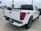 New 2025 Ford F150 STX w/ Equipment Group 200A image 4