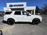 New 2025 Hyundai Palisade XRT image 2