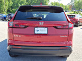 Used 2024 Honda CR-V EX-L image 5
