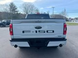Used 2023 Ford F150 XLT w/ Equipment Group 302A High image 5