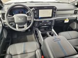 New 2025 Ford F250 Platinum w/ Tremor Off-Road Package image 5