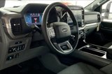 New 2025 Ford F150 XLT w/ Equipment Group 303A High image 6