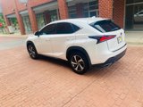 Used 2019 Lexus NX 300 AWD w/ Premium Package image 4