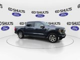 Used 2021 Ford F150 Platinum w/ Equipment Group 701A High image 2