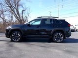 Used 2019 Toyota RAV4 Adventure image 2