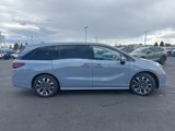 New 2025 Honda Odyssey Elite image 4