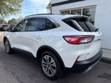 Used 2022 Ford Escape SEL image 2