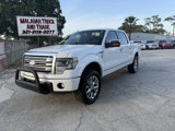 Used 2013 Ford F150 Platinum image 2