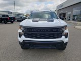 Used 2024 Chevrolet Silverado 1500 Custom Trail Boss w/ Turbomax Blackout Package image 3