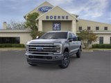 New 2025 Ford F250 Platinum image 2