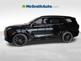New 2025 Hyundai Palisade Calligraphy image 6