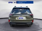 New 2025 Subaru Forester Limited image 4