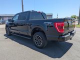 Used 2023 Ford F150 XLT w/ Equipment Group 302A High image 6