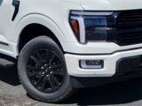 New 2025 Ford F150 Platinum image 3