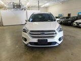 Used 2019 Ford Escape Titanium image 5