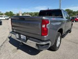Used 2020 Chevrolet Silverado 1500 LT w/ All-Star Edition image 3