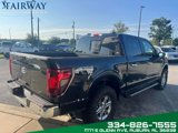 Used 2024 Ford F150 XLT w/ Equipment Group 302A MID image 6