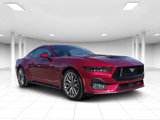Used 2025 Ford Mustang GT Premium image 1