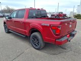 New 2025 Ford F150 XLT image 2