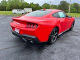 New 2025 Ford Mustang Coupe image 3