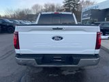 Used 2024 Ford F150 XLT w/ Equipment Group 302A MID image 4