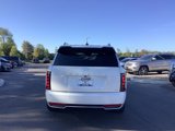 New 2026 Hyundai Palisade Calligraphy image 6