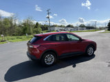 Used 2020 Ford Escape SE image 6