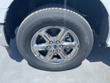 New 2025 Ford F150 XLT w/ Equipment Group 301A Standard image 4