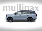 New 2025 Ford Expedition Tremor image 2
