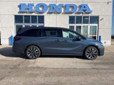 New 2025 Honda Odyssey Elite image 4