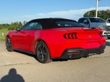 Certified 2024 Ford Mustang Premium image 3