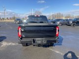 New 2025 Ford F250 Platinum image 4