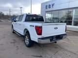 New 2025 Ford F150 XLT w/ Equipment Group 302A MID image 3