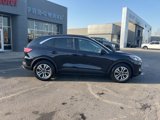 Used 2021 Ford Escape SEL image 4