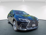 New 2026 Lexus NX 350 AWD w/ Premium Package image 2
