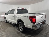 New 2024 Ford F150 XLT w/ Equipment Group 302A MID image 4