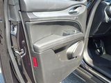 New 2025 Alfa Romeo Stelvio Sprint w/ Convenience Package image 6